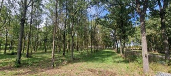 Propriété commerciale à Ozzano dell'Emilia, Italy 220m² No. 178377 3