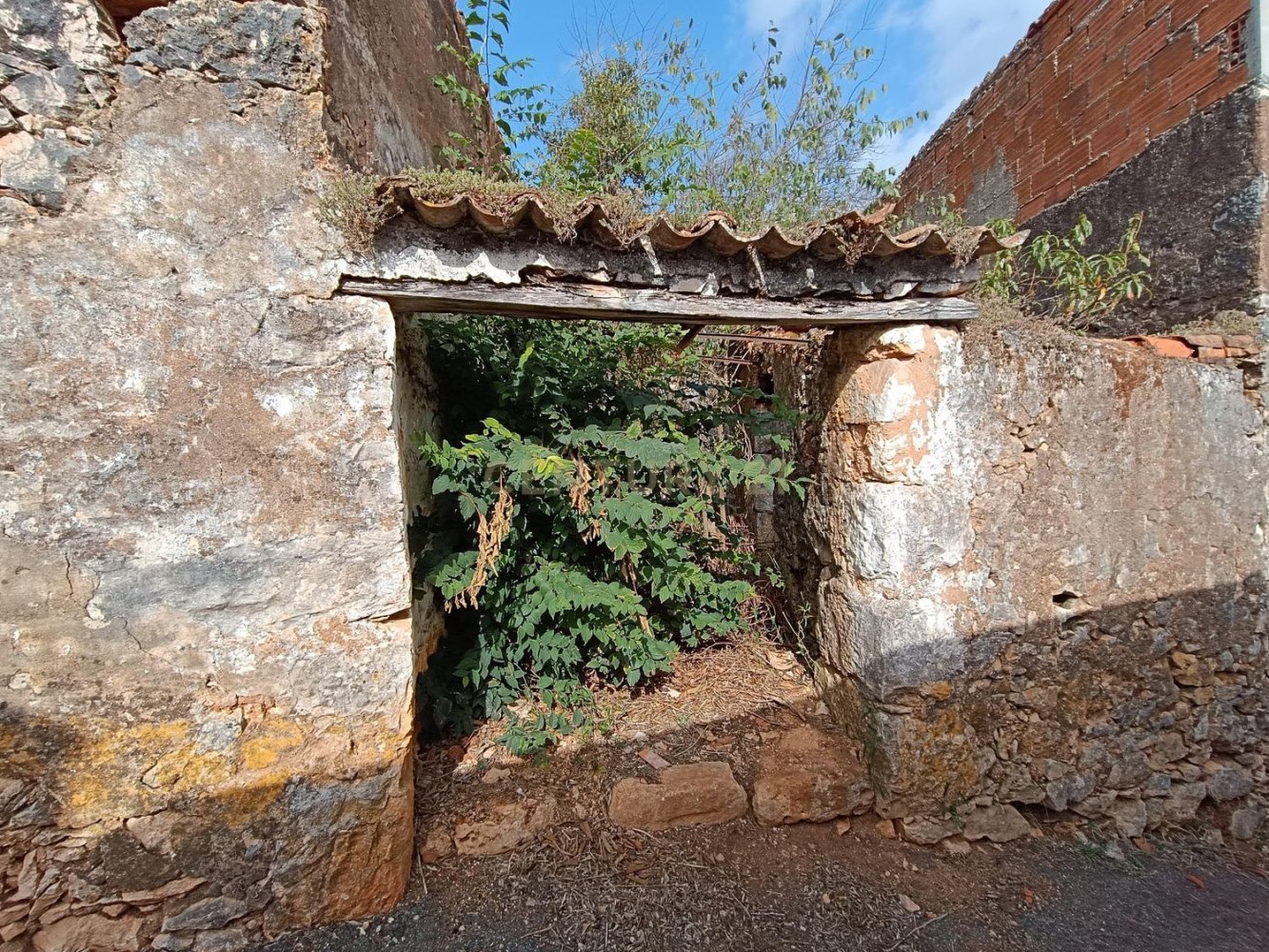 Дом с 3 спальнями в Торриш Новаш, Португалия № 204804