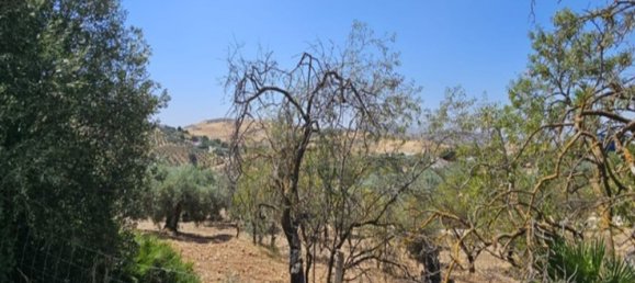 3 Schlafzimmer Haus in Malaga, Spain, Nr. 145182 20