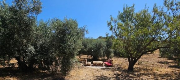 3 Schlafzimmer Haus in Malaga, Spain, Nr. 145182 25