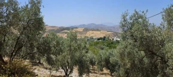 3 Schlafzimmer Haus in Malaga, Spain, Nr. 145182 16