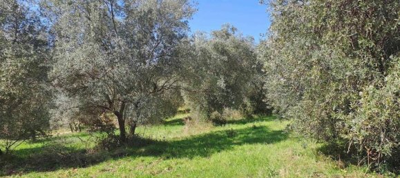 4 rooms House in Scansano, Italy No. 33021 3