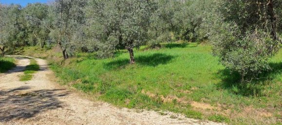 4 rooms House in Scansano, Italy No. 33021 24