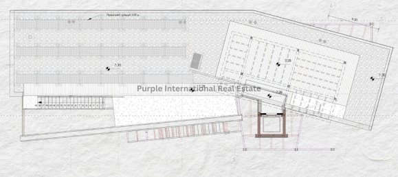 5 Schlafzimmer Villa in Protaras, Cyprus, Nr. 3678 2