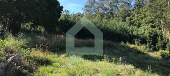 Terreno en Guimaraes, Portugal 4000 m² No. 149152 2