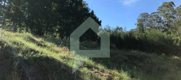 Terreno en Guimaraes, Portugal 4000 m² No. 149152 8