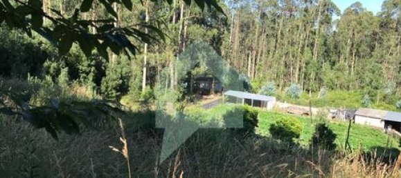 Terreno en Guimaraes, Portugal 4000 m² No. 149152 4