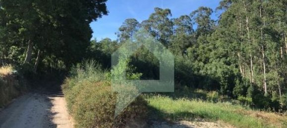 Terreno en Guimaraes, Portugal 4000 m² No. 149152 6