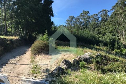 Terreno en Guimaraes, Portugal 4000 m² No. 149152