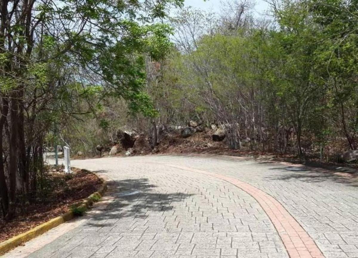 Земельный участок в Акапулько де Хуарес, Мексика № 129665