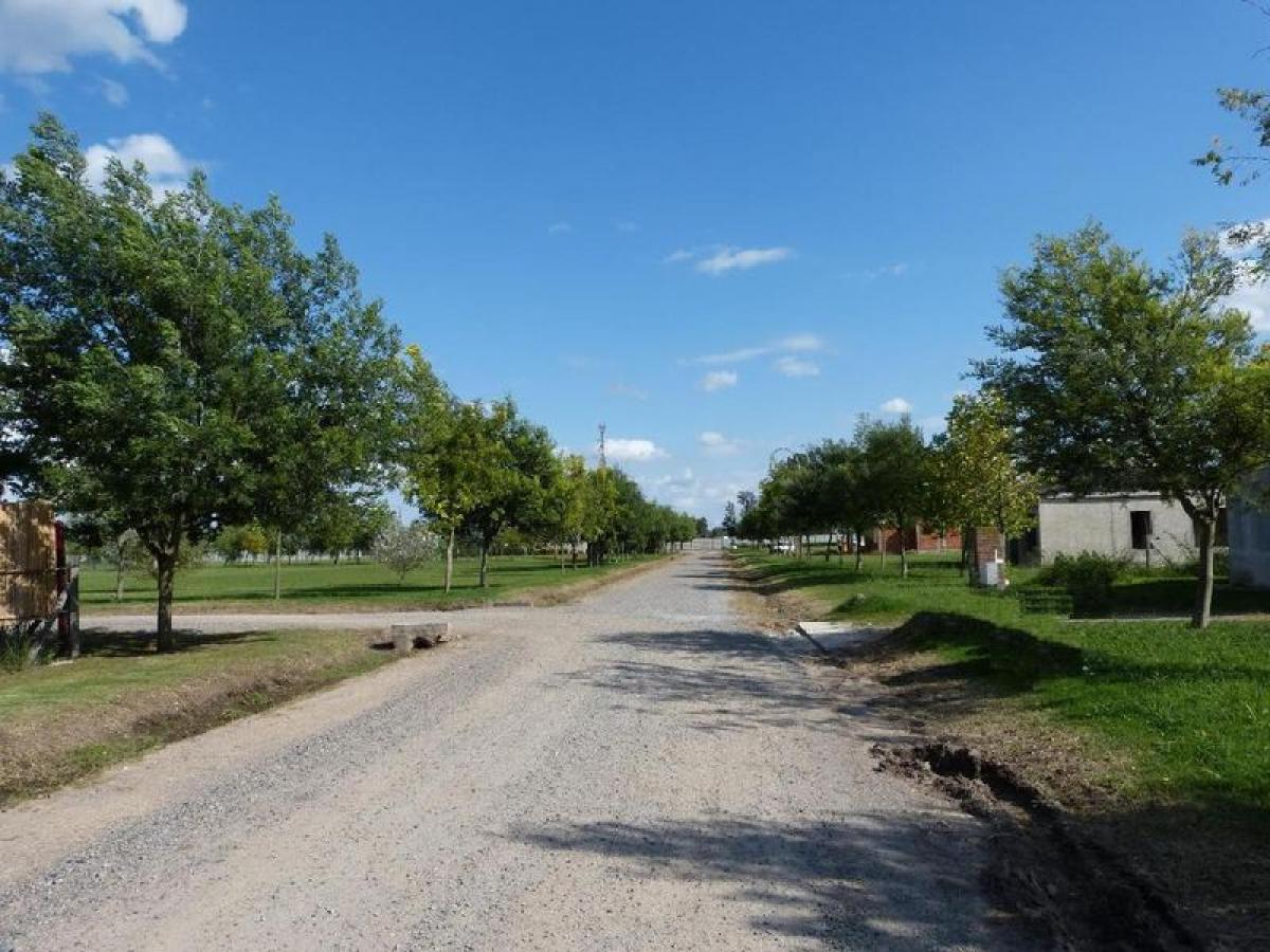 3 bedrooms House in Buenos Aires, Argentina No. 94022