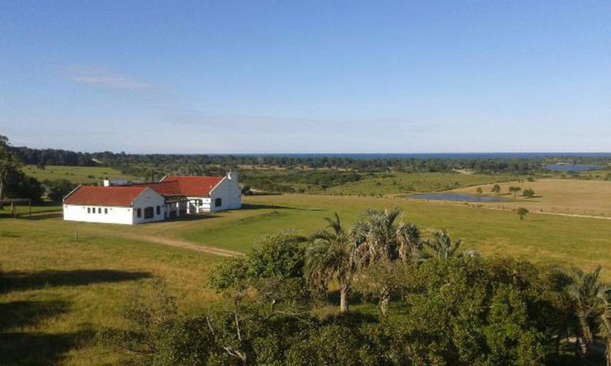18m² Farm in Maldonado, Uruguay No. 15839