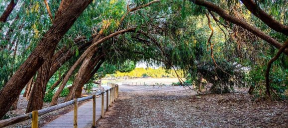 Casa de 2 dormitorios en Torrevieja, Spain No. 95049 42