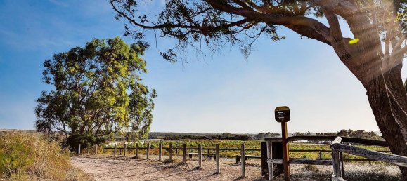 Casa de 2 dormitorios en Torrevieja, Spain No. 95049 49