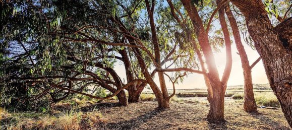Casa de 2 dormitorios en Torrevieja, Spain No. 95049 50