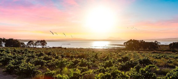 Casa de 2 dormitorios en Torrevieja, Spain No. 95049 47