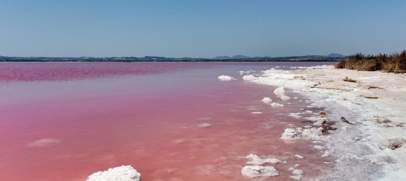Casa de 2 dormitorios en Torrevieja, Spain No. 95049 35