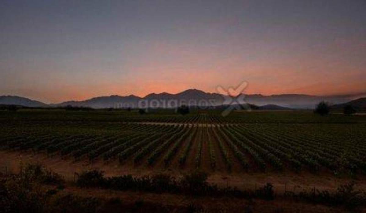  Land in Mendoza, Argentina No. 48109