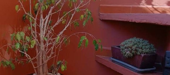 2 Schlafzimmer Haus in Torrevieja, Spain, Nr. 175863 8