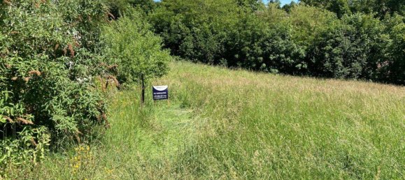 724m² Land in Wartberg ob der Aist, Austria No. 87023 2