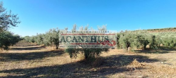 Casa de 4 habitaciónes en Cori, Italy No. 157441 17