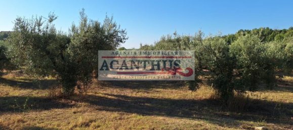 Casa de 4 habitaciónes en Cori, Italy No. 157441 18