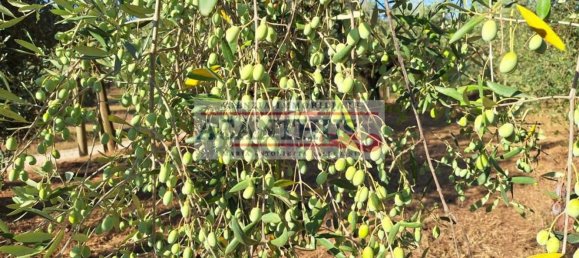 Casa de 4 habitaciónes en Cori, Italy No. 157441 8