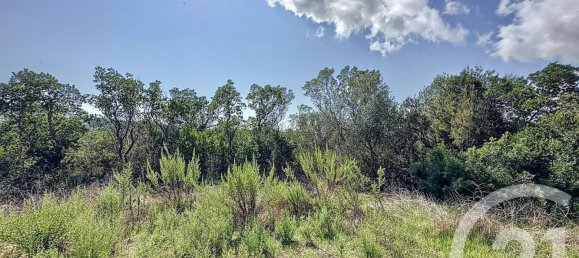 Villa de 2 dormitorios en Zonza, France No. 235815 8