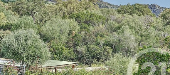 Villa de 2 dormitorios en Zonza, France No. 235815 4