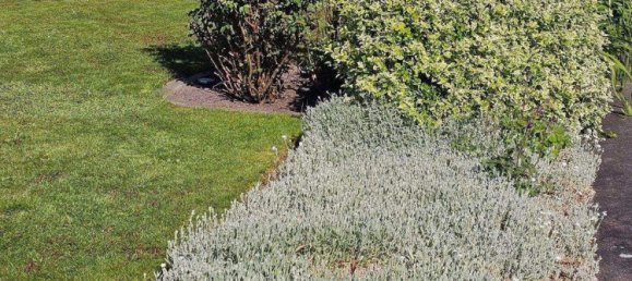 Edifício de 4 divisões em Vorpommern-Greifswald, Germany N.º 333857 9