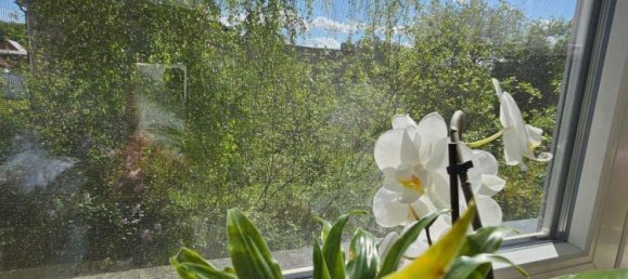 Edifício de 4 divisões em Vorpommern-Greifswald, Germany N.º 333857 24