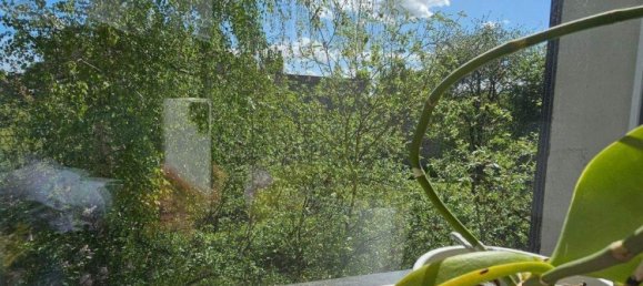 Edifício de 4 divisões em Vorpommern-Greifswald, Germany N.º 333857 23