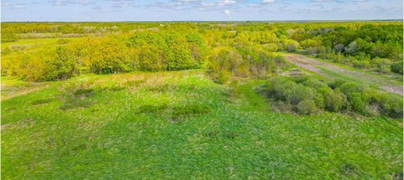 Terreno en Le Controis-en-Sologne, France 1558 m² No. 67944 5