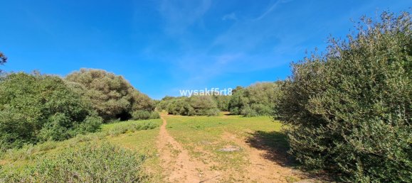 Terreno em San Roque, Spain N.º 139944 11