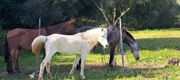 Terreno em San Roque, Spain N.º 139944 23