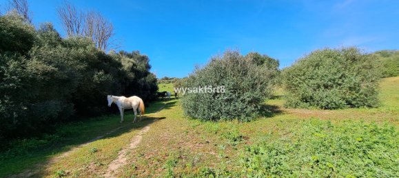 Terreno em San Roque, Spain N.º 139944 10