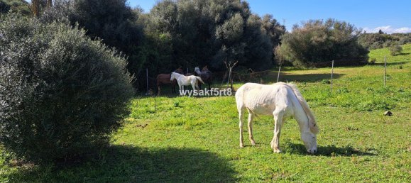 Terreno em San Roque, Spain N.º 139944 13