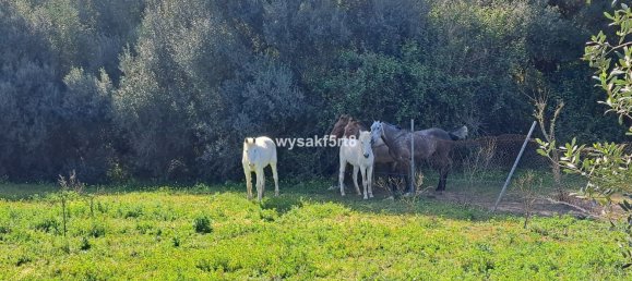 Terreno em San Roque, Spain N.º 139944 15