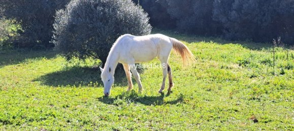 Terreno em San Roque, Spain N.º 139944 9