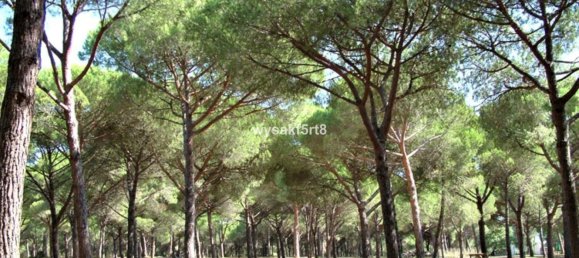 Terreno em San Roque, Spain N.º 139944 47