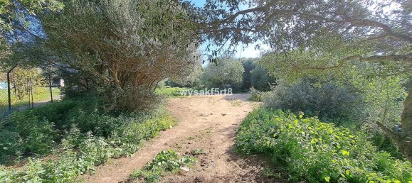 Terreno em San Roque, Spain N.º 139944 16
