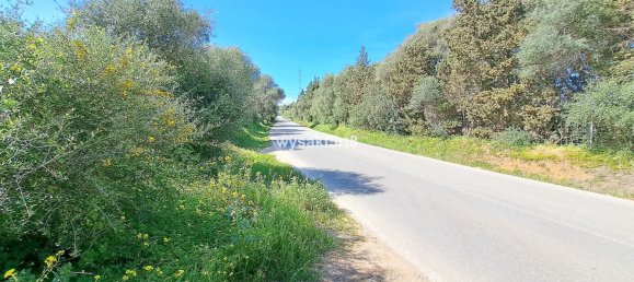 Terreno em San Roque, Spain N.º 139944 25