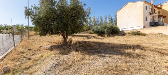 Grundstück in Granada, Spain 408m², Nr. 98569 13