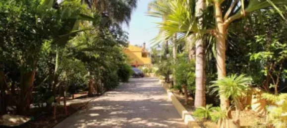 5 Schlafzimmer Villa in Alhaurin de la Torre, Spain, Nr. 175035 3