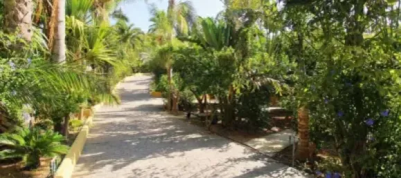 5 Schlafzimmer Villa in Alhaurin de la Torre, Spain, Nr. 175035 49