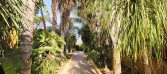 5 Schlafzimmer Villa in Alhaurin de la Torre, Spain, Nr. 175035 4