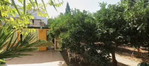 5 Schlafzimmer Villa in Alhaurin de la Torre, Spain, Nr. 175035 2