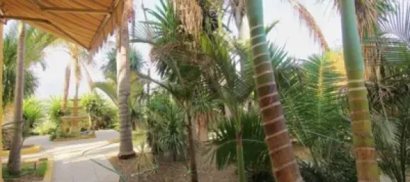 5 Schlafzimmer Villa in Alhaurin de la Torre, Spain, Nr. 175035 5