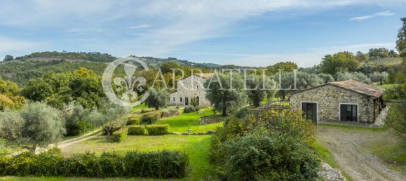 6 bedrooms House in Manciano, Italy No. 78408 30