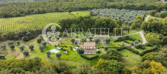 6 bedrooms House in Manciano, Italy No. 78408 11